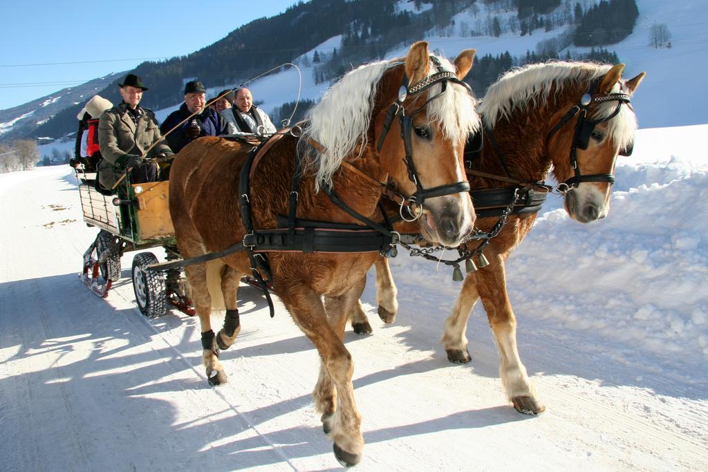 שלאדמינג Haus Alpina Ski In & Ski Out מראה חיצוני תמונה
