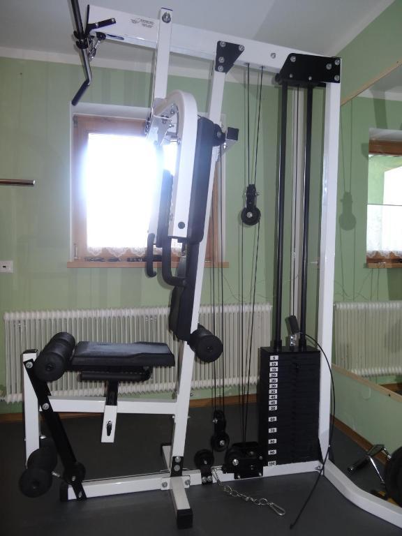 שלאדמינג Haus Alpina Ski In & Ski Out מראה חיצוני תמונה
